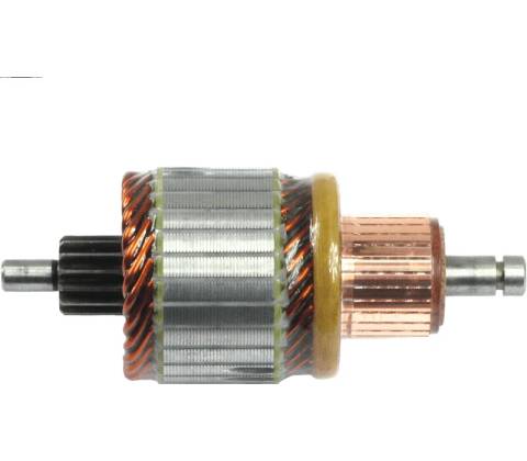 rotor štartéra 1004011245