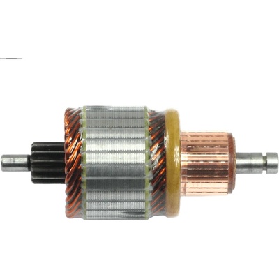 rotor štartéra 1004011245
