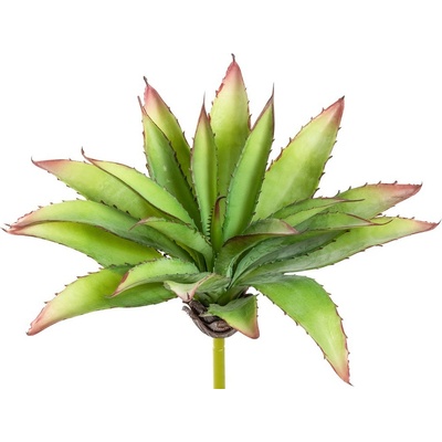 Aloe zelená v27 cm (FB109933800)
