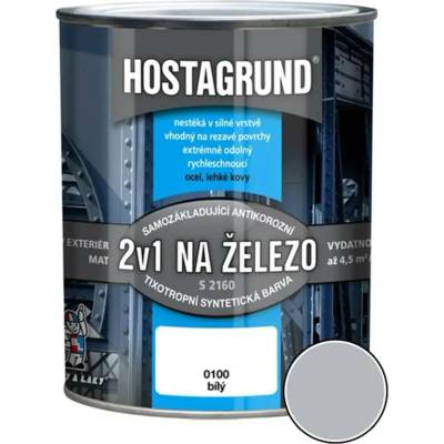 Barvy a laky Hostivař 2v1 S2160 0,6l hliníkový 0910