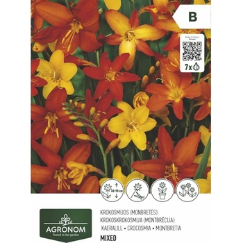 Seklos Крокосмия микс - 7 бр луковицa