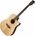 Tanglewood TWJD