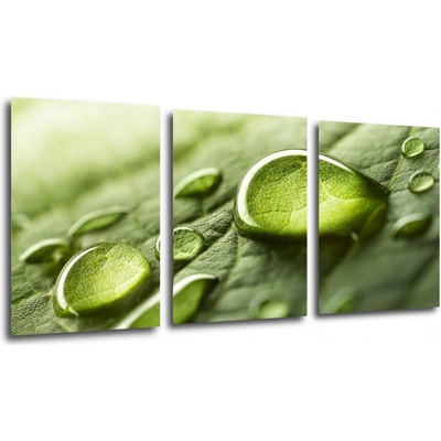 Impresi Obraz Kvapky vody na liste - 150 x 70 cm (3 dielny)