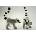 Lemur