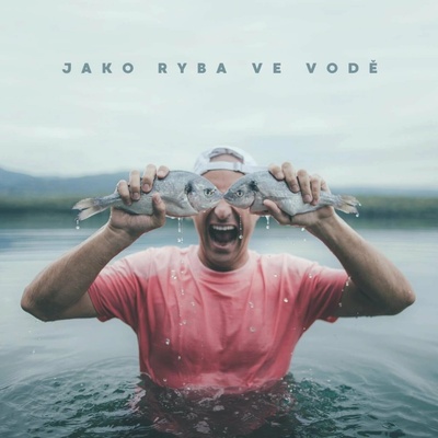 Dj Wich - Jako ryba ve vodě - CD