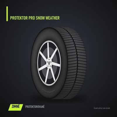 Profil Pro Snow Weather 245/45 R19 102V