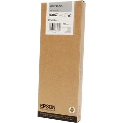 Epson T6067