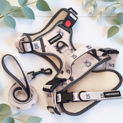 Hafkonaut Koalí Kamoši Set postroj vodítko a obojok Ultra Grip