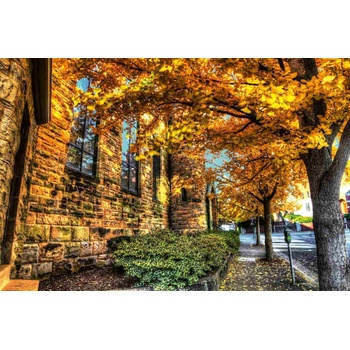 DIMEX ART s. r. o Флизелинов фототапет есен в града 375 x 250 см