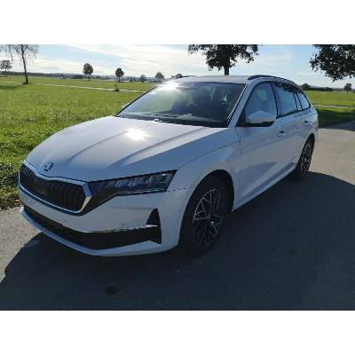 Skoda Octavia Combi 2.0 TDI Selection 110 kW