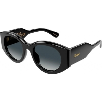 Chloe CH0251S 001 – Zboží Dáma