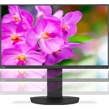 NEC EA241F
