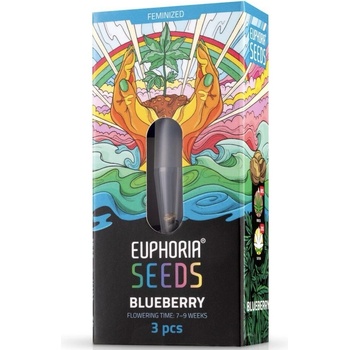 Euphoria Semená čučoriedka feminizované