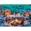 Gibsons - Puzzle A Night of Northern Lights - 1 000 piese