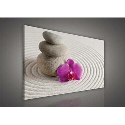 Obraz na plátně wellness orchidej 137O1, 100 x 75 cm, IMPOL TRADE