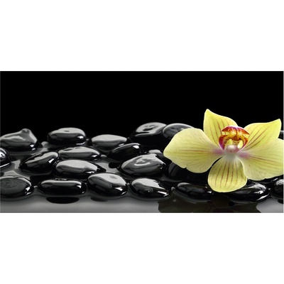 Foto obraz sklo tvrzené orchidea 100x50 cm