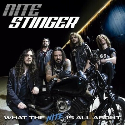 Nite Stinger - What The Nite Is All About CD