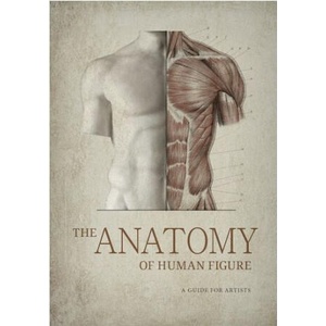 The Anatomy of Human Figure. A Guide for Artists (2023)