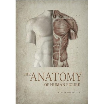 Image 1 of The Anatomy of Human Figure. A Guide for Artists | Vladimir Mogilevtsev