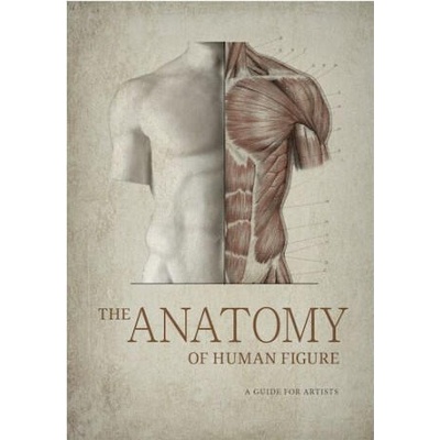 The Anatomy of Human Figure. A Guide for Artists | Vladimir Mogilevtsev