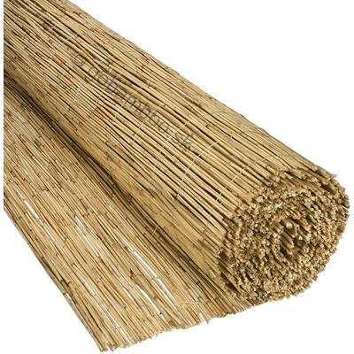 Trstinový plot Classic voľne balený (Rákosová rohož), Veľkosť: š 600 cm x v 100 cm