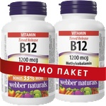 Webber Naturals Промо пакет Витамин В12 метилкобаламин х 80 таблетки с удължено освобождаване - 2 броя | Webber Naturals (66923 WN)