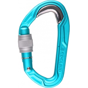 Edelrid Винтов карабинер Edelrid Bulletproof Screw II Screwgate carabiner - Icemint - размер One Size (322-0214-0111)