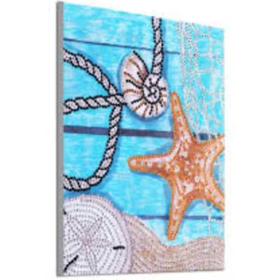 Морски дарове 25/30 см