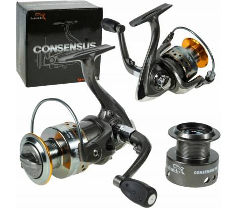 Hokkaido Consensus FD4000