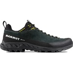 Mammut Обувки MAMMUT Alnasca IV Low LTH GTX Men gabbro-acacia UK 9