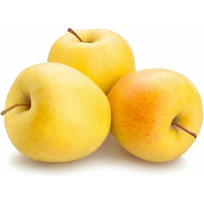 Jabloň Golden Delicious podpník M26, voľnok.