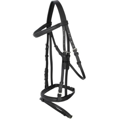 Uzdečka COVALLIERO Standard s anglickým nánosníkem černá – Zboží Dáma