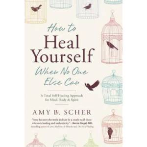 How to Heal Yourself When No One Else Can (ISBN: 9780738745541)