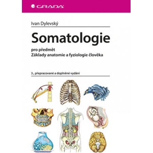 Somatologie | Ivan Dylevský (2019)