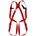 Akrobat AK002