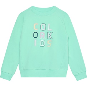 Color Kids Детски пуловер Color Kids Kid's Sweat with Logo Print Jumper - Cabbage - размер 134 (EU) (704-5847-0118)