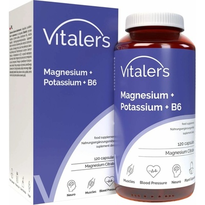 Vitaler's Horčík 100 mg + draslík 150 mg + Vitamín B6 10 mg 120 kapsúl