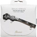 Ibanez IBJS5