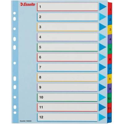 Záznamník, laminovaná lepenka, A4 Maxi, 1–12, prepisovateľný, ESSELTE 100209