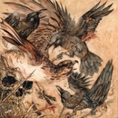 VALKYRIE - SHADOWS (1CD)