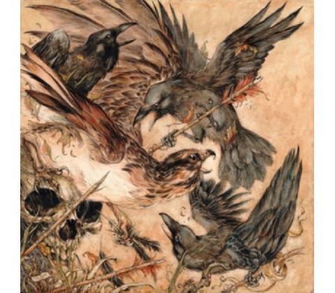 VALKYRIE - SHADOWS (1CD)