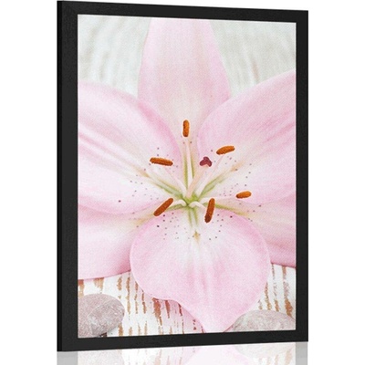 Plakát růžová lilie a Zen kameny - 20x30 black