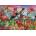 Bluebird Puzzle - Puzzle Stewart: Birds and Blooms Garden - 500 piese