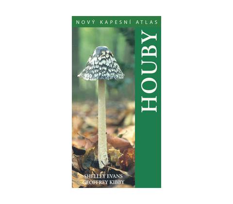 Houby