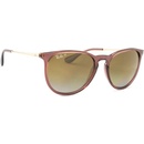 Ray-Ban Erika RB4171 6593T5