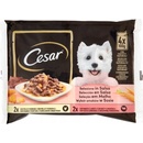 Cesar Adult Selection mix v omáčke 400 g