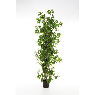 Luxusní umělý strom CISSUS ROSTLINA, 160 cm