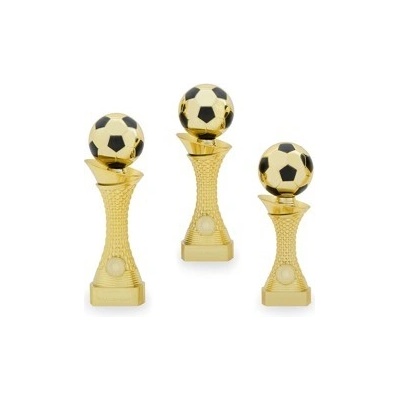 Pohár fotbal PS 22604.3