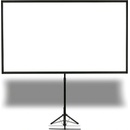 Epson X-Type Screen 80" 16:9 - ELPSC21 V12H002S21