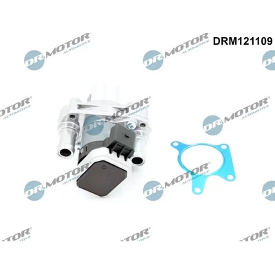 Dr.Motor Automotive AGR ventil DMA DRM121109